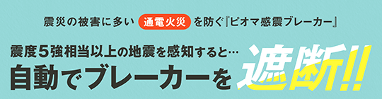 sI}@ku[J[